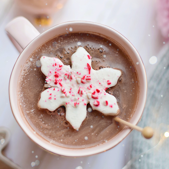 Cocosutra - Hot Chocolate Mix