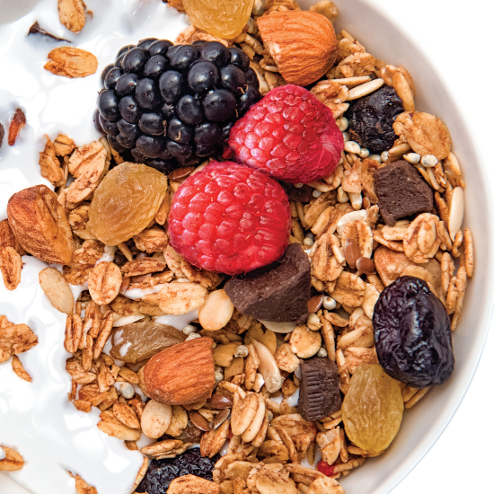 Millet Mocha Crunch Breakfast Granola Bowl