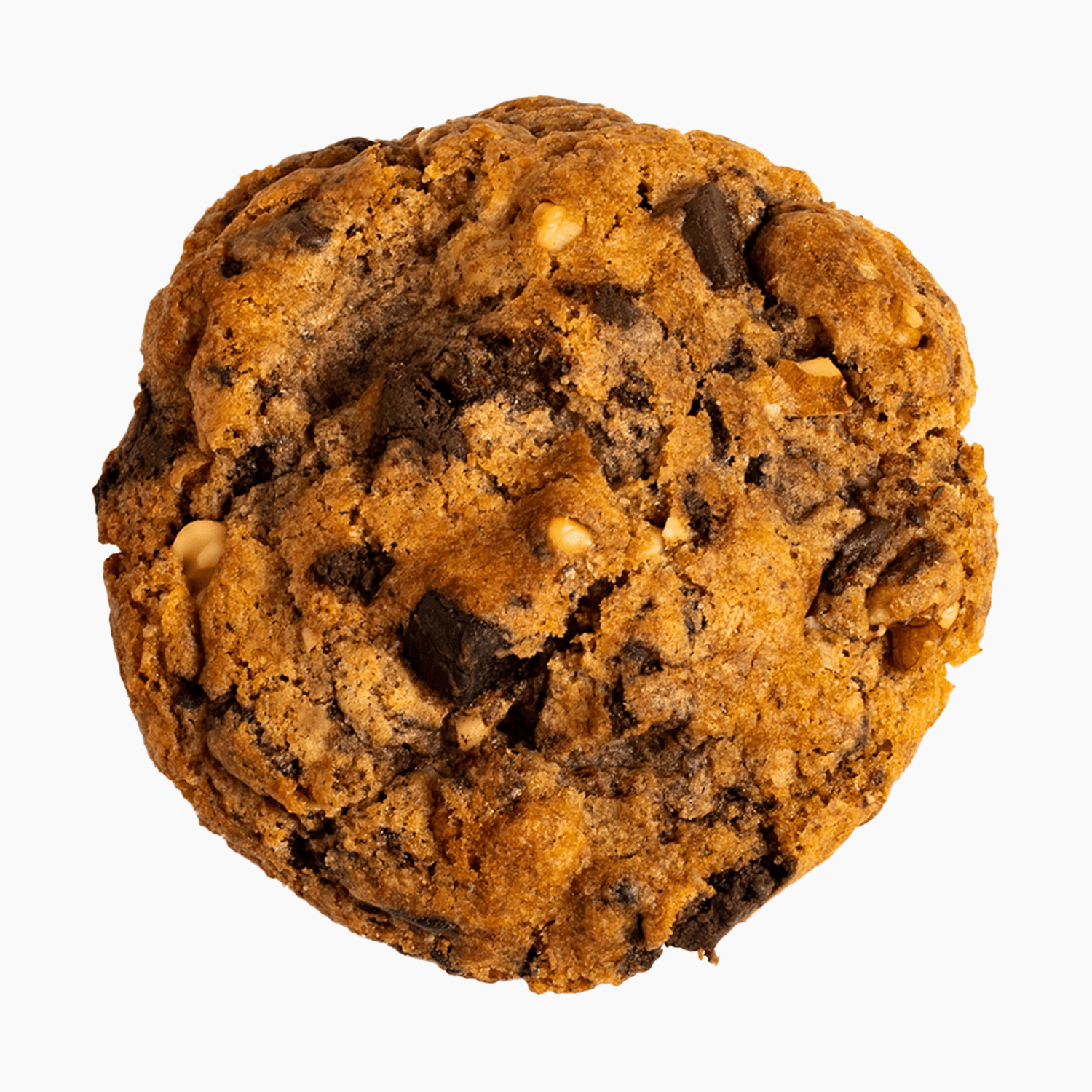 Cocosutra Giant Choco Chunk & Walnut Cookie