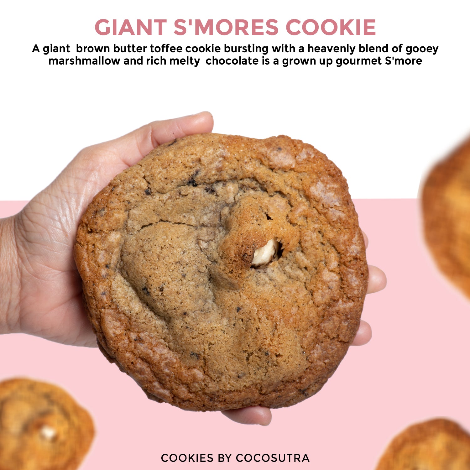 Cocosutra Giant S’mores Cookies