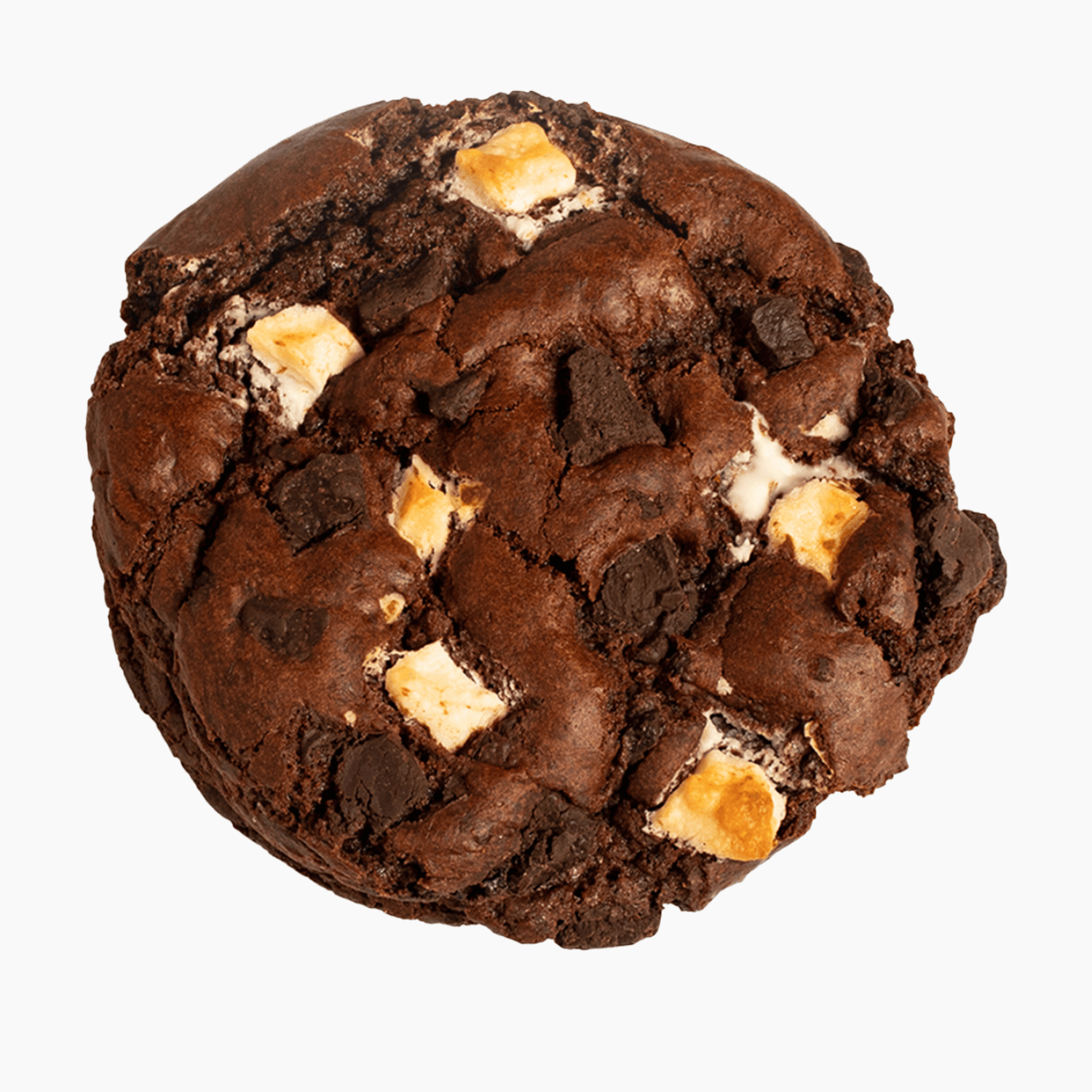 Cocosutra Giant Triple Chocolate Cookie