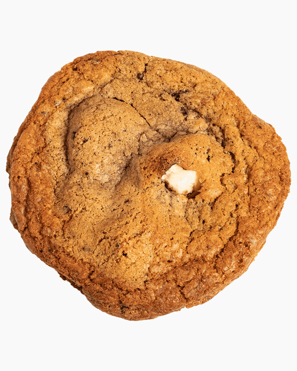 Cocosutra Giant S'mores Cookie