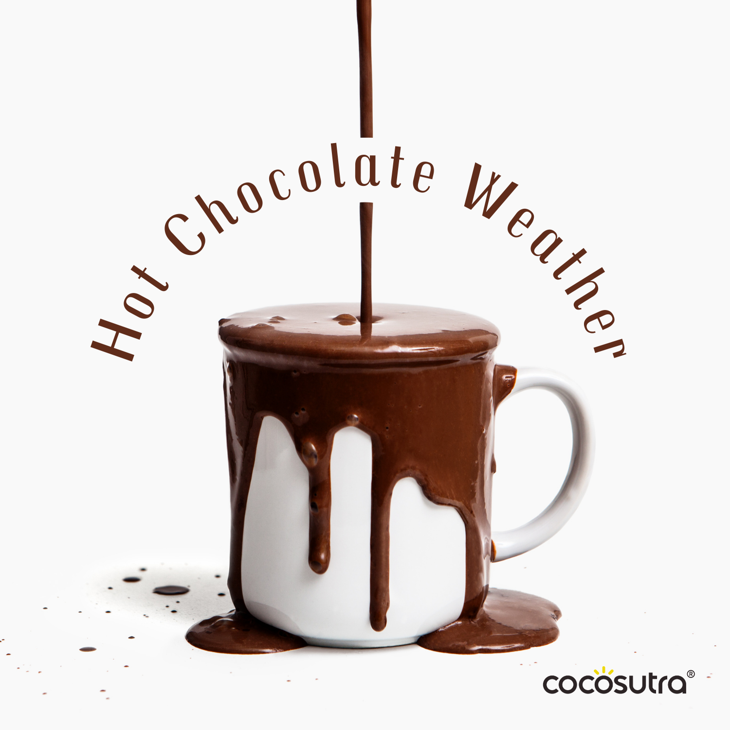 Instant Hot Chocolate