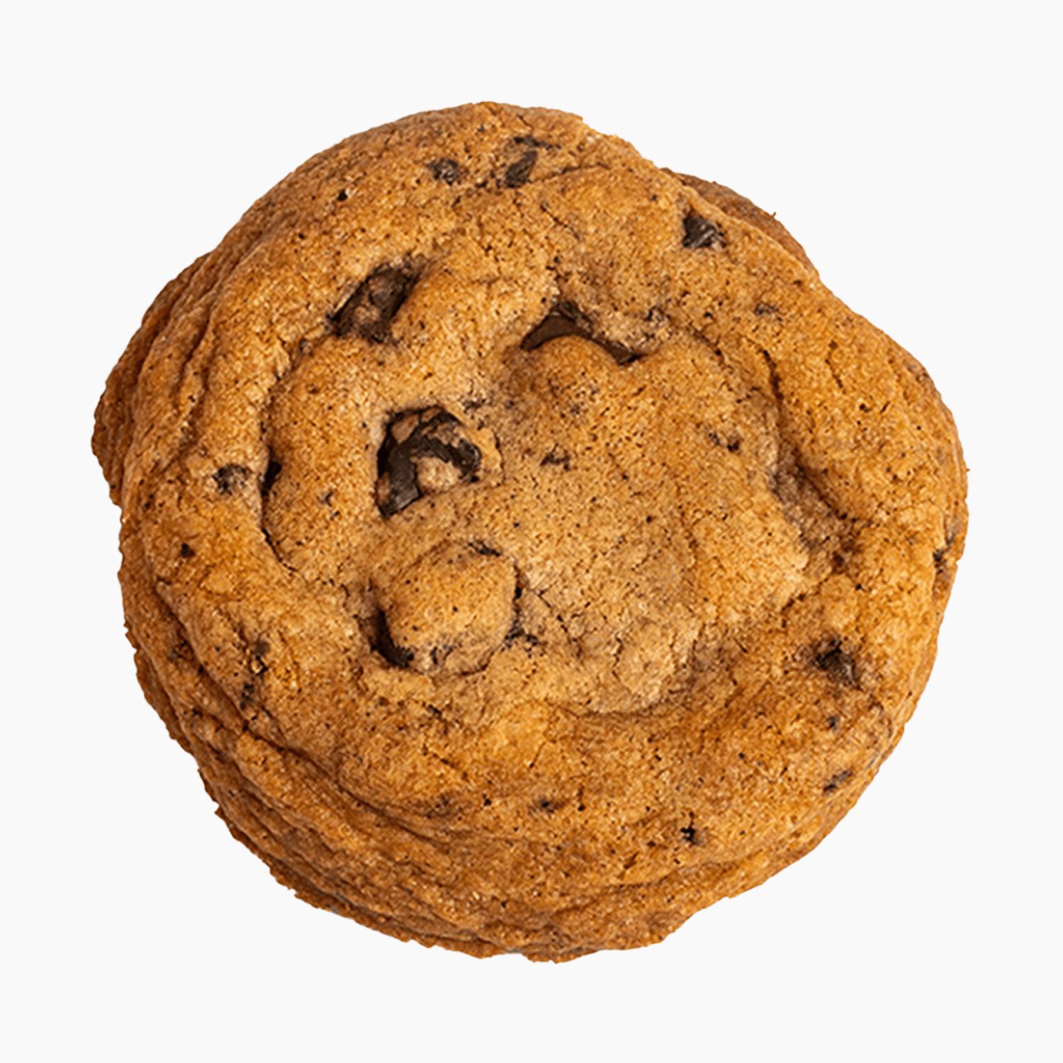 Cocosutra Chunky Chocolate Chip Cookie