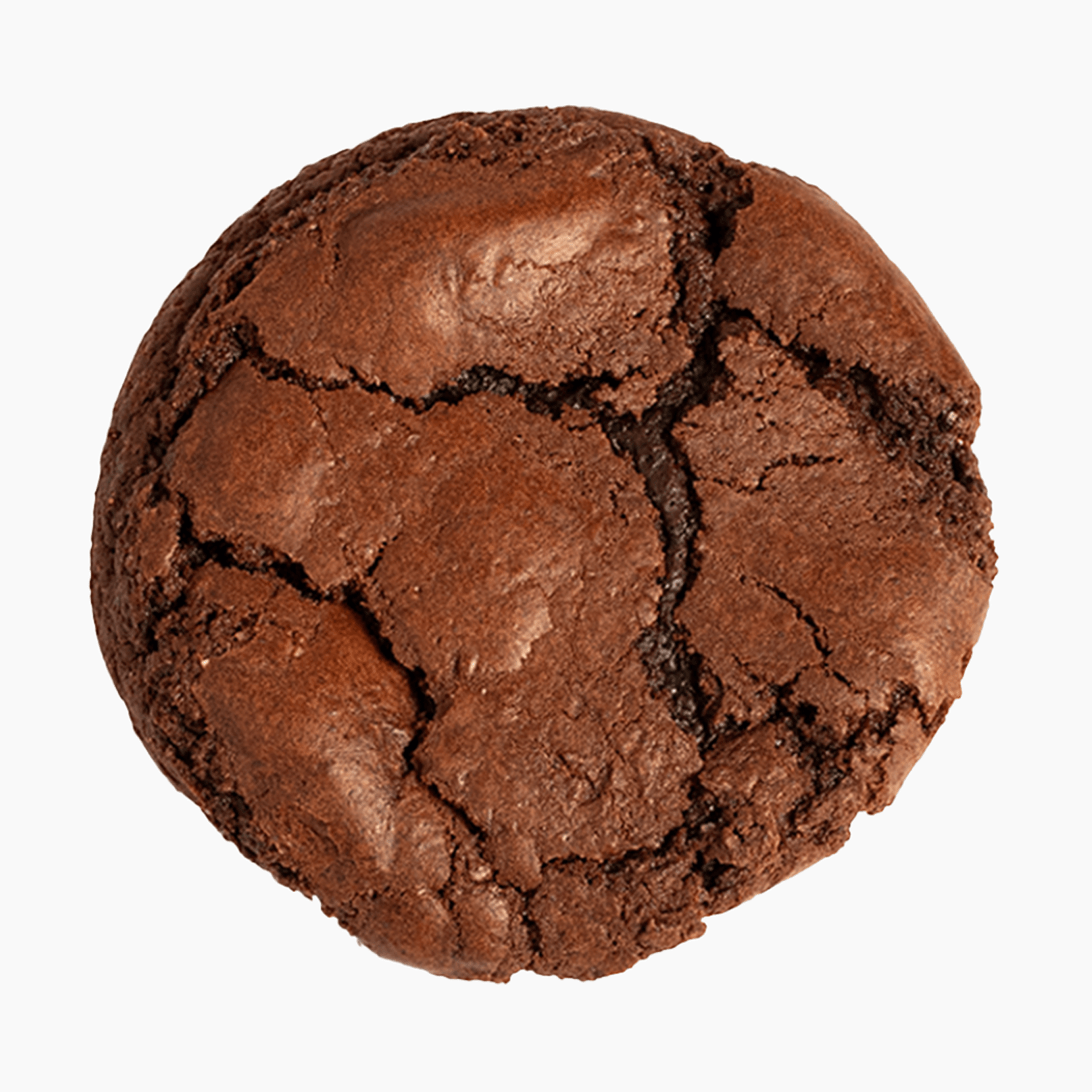 Cocosutra Fudgy Brownie Cookie